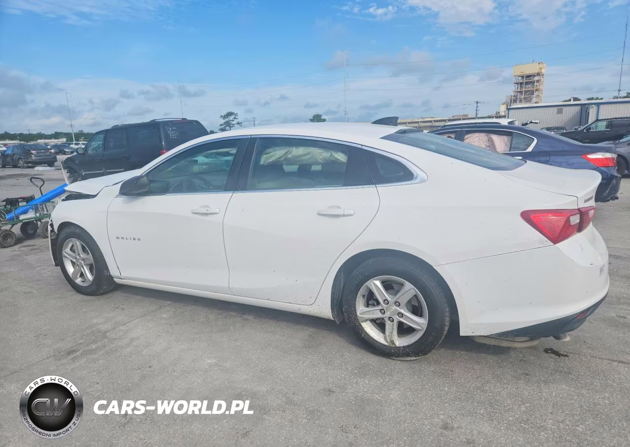 2020 Chevrolet Malibu VIN:1G1ZB5ST0LF011080 - 2
