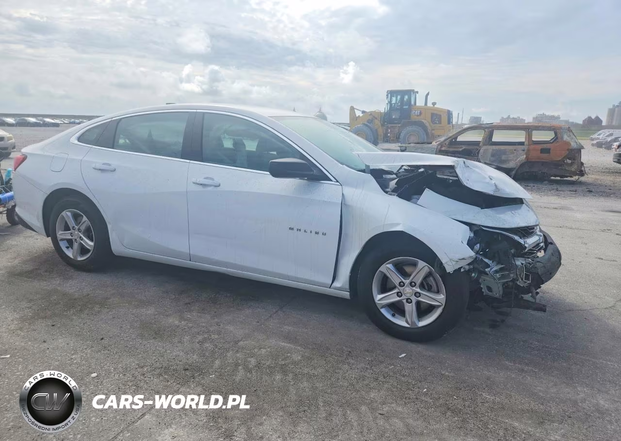 2020 Chevrolet Malibu VIN:1G1ZB5ST0LF011080 - 4