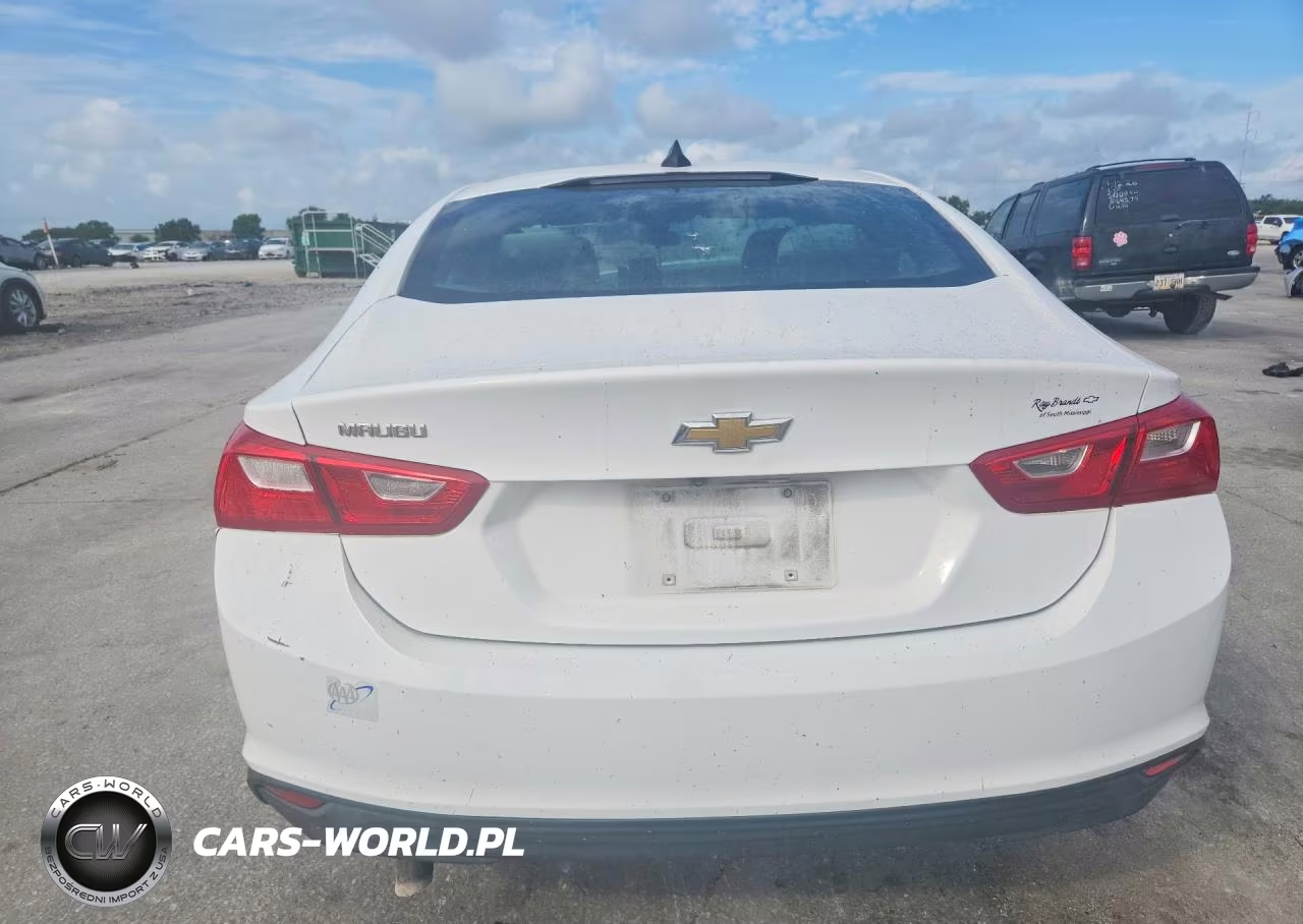 2020 Chevrolet Malibu VIN:1G1ZB5ST0LF011080 - 6