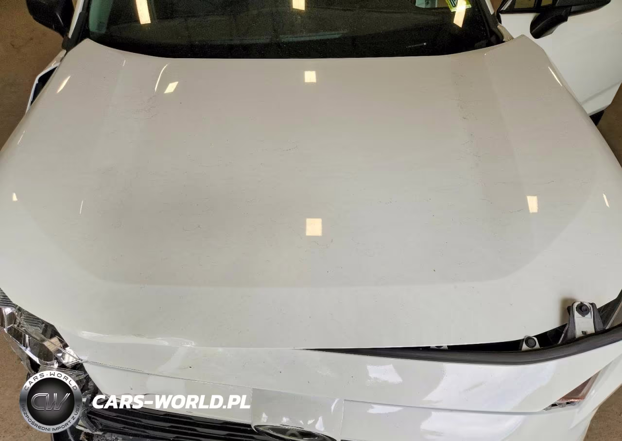 2019 Toyota Rav4 Le VIN:JTMF1RFV4KD044349 - 12
