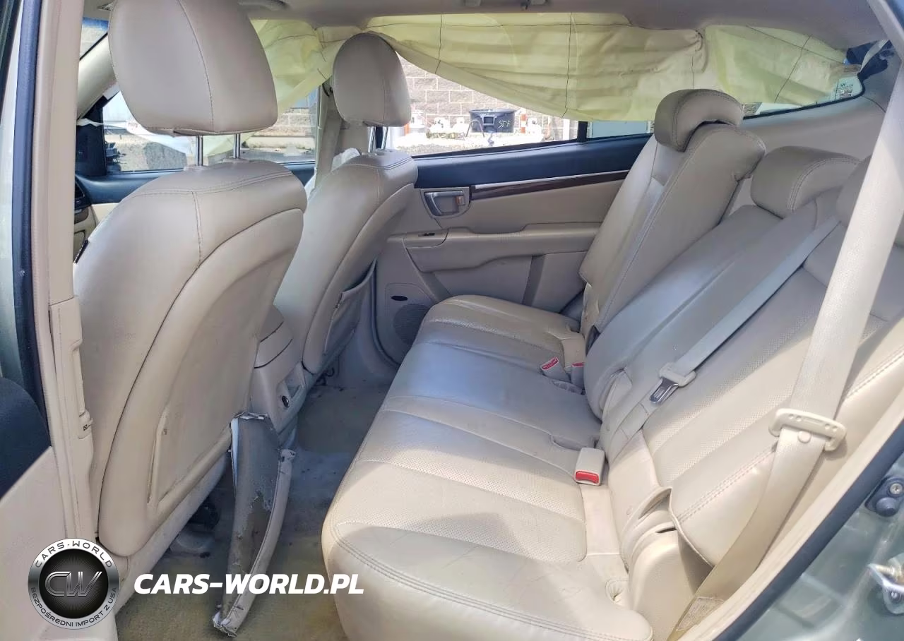 2009 Hyundai Santa Fe Limited VIN:5NMSH73E19H313251 - 11