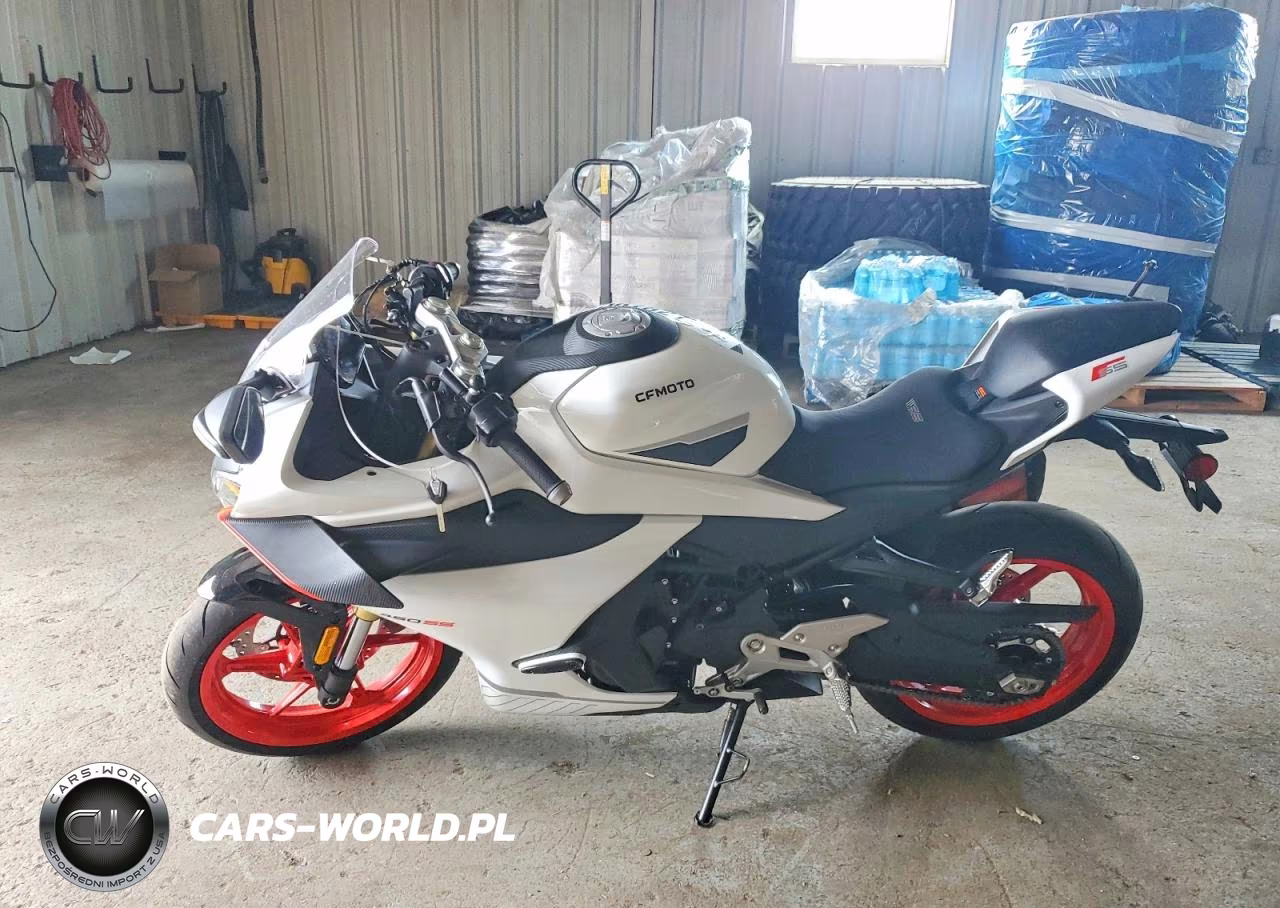 2025 Cf Moto 450Ss VIN:LCEPESLA5S6001273 - 3