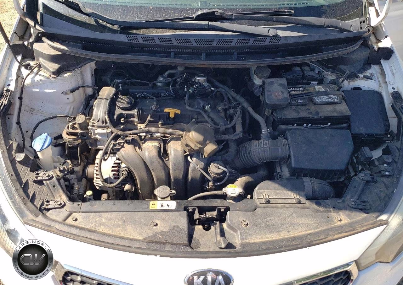 2016 Kia Forte VIN:KNAFK5A82G5630747 - 12