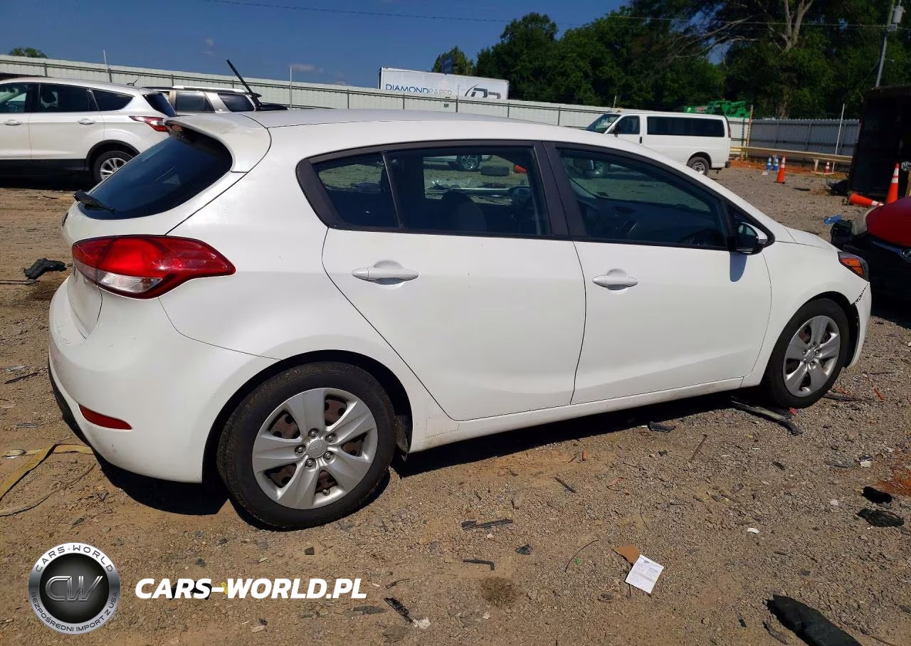 2016 Kia Forte VIN:KNAFK5A82G5630747 - 3
