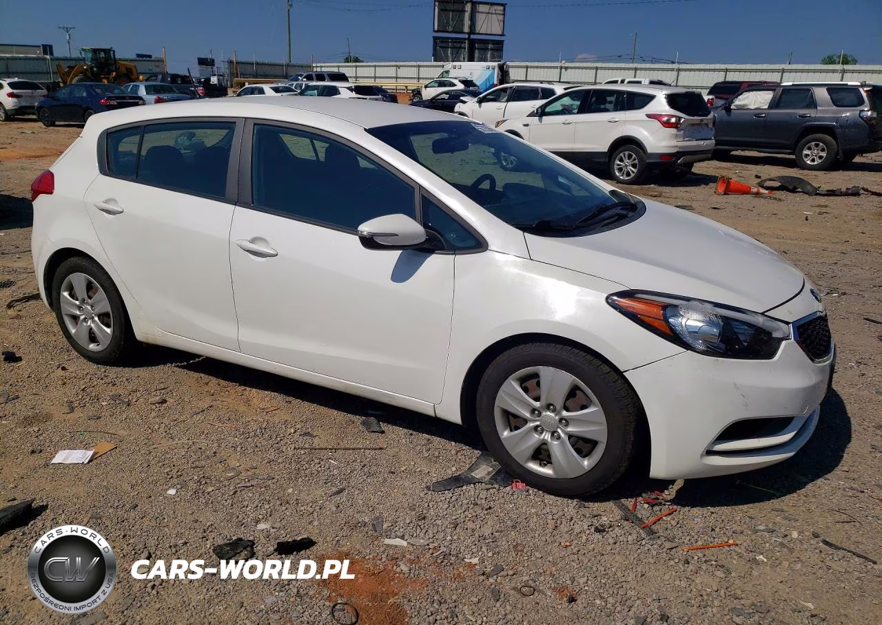 2016 Kia Forte VIN:KNAFK5A82G5630747 - 4