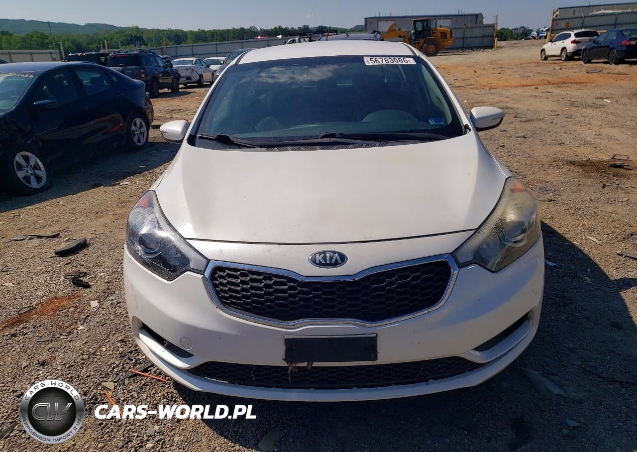 2016 Kia Forte VIN:KNAFK5A82G5630747 - 5