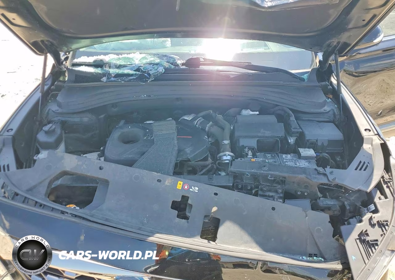 2020 Hyundai Santa Fe Limited 2.0T VIN:5NMS5CAA7LH224602 - 12