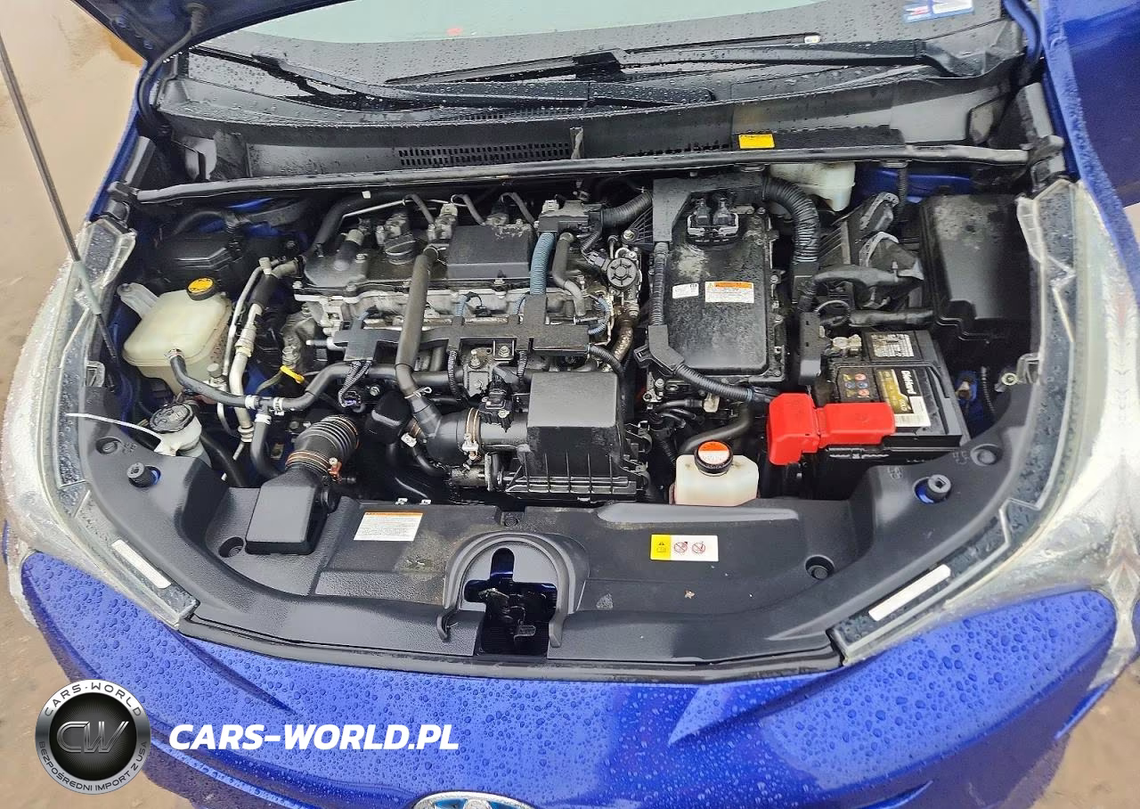2016 Toyota Prius Two VIN:JTDKBRFU1G3519620 - 11