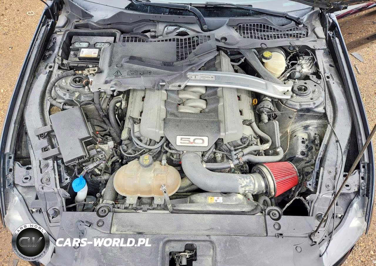 2016 Ford Mustang Gt VIN:1FATP8FF9G5201000 - 11