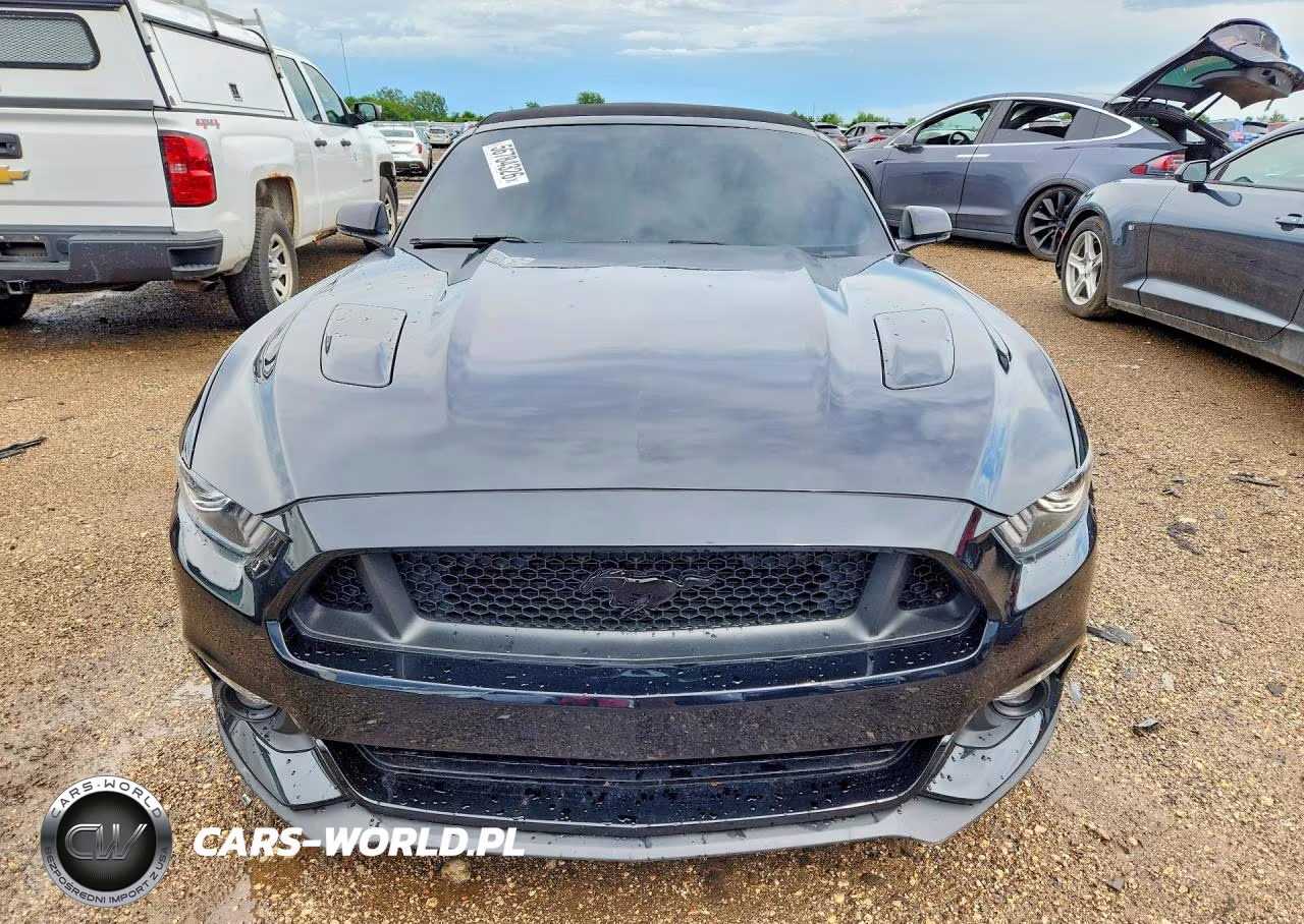 2016 Ford Mustang Gt VIN:1FATP8FF9G5201000 - 5