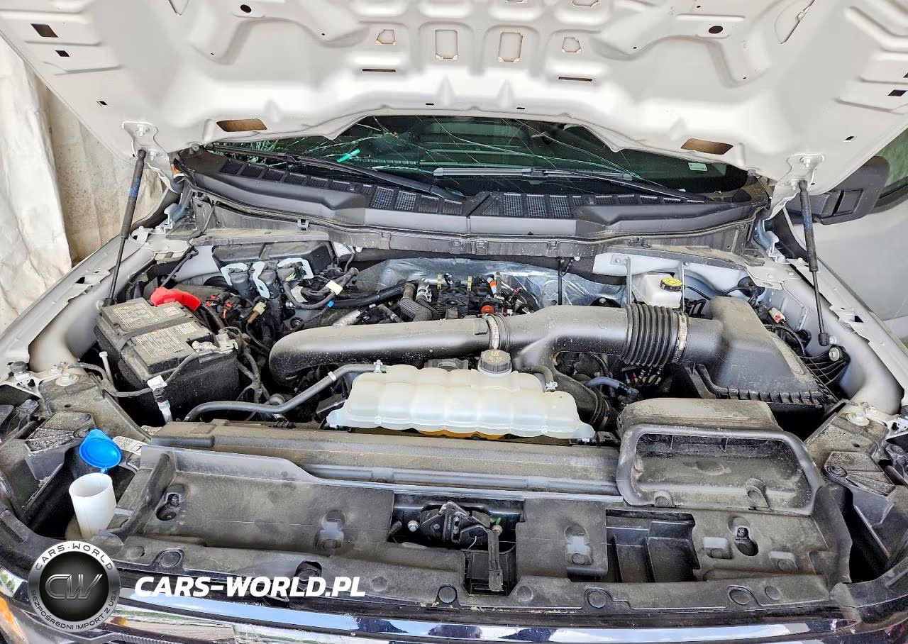 2025 Ford F150 Xlt VIN:1FTFW3L80SKE89051 - 11