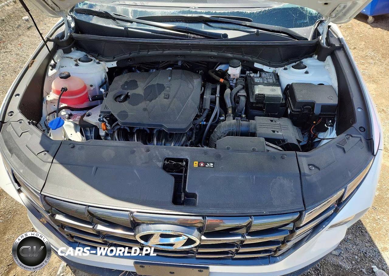 2024 Hyundai Tucson Sel VIN:5NMJBCDE3RH343002 - 12