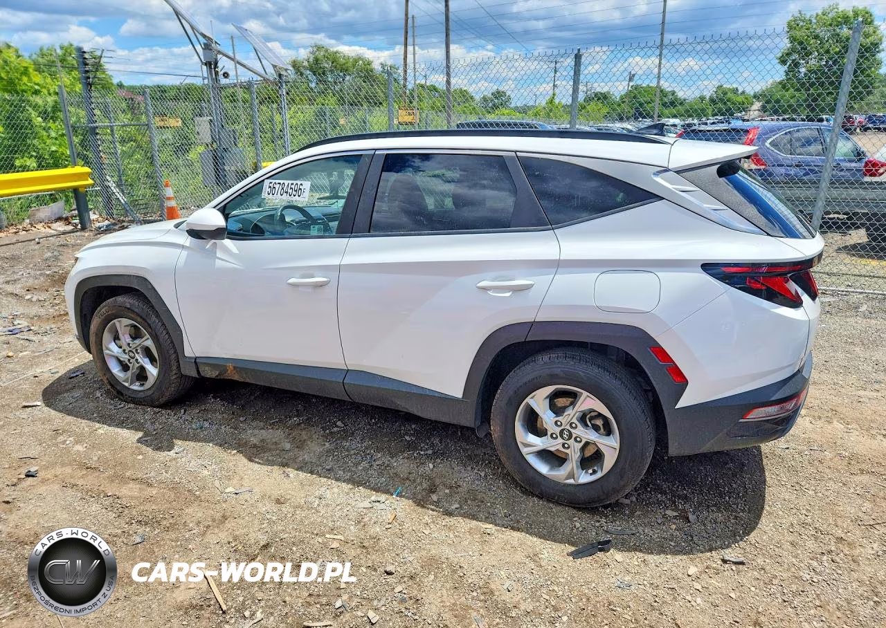 2024 Hyundai Tucson Sel VIN:5NMJBCDE3RH343002 - 2