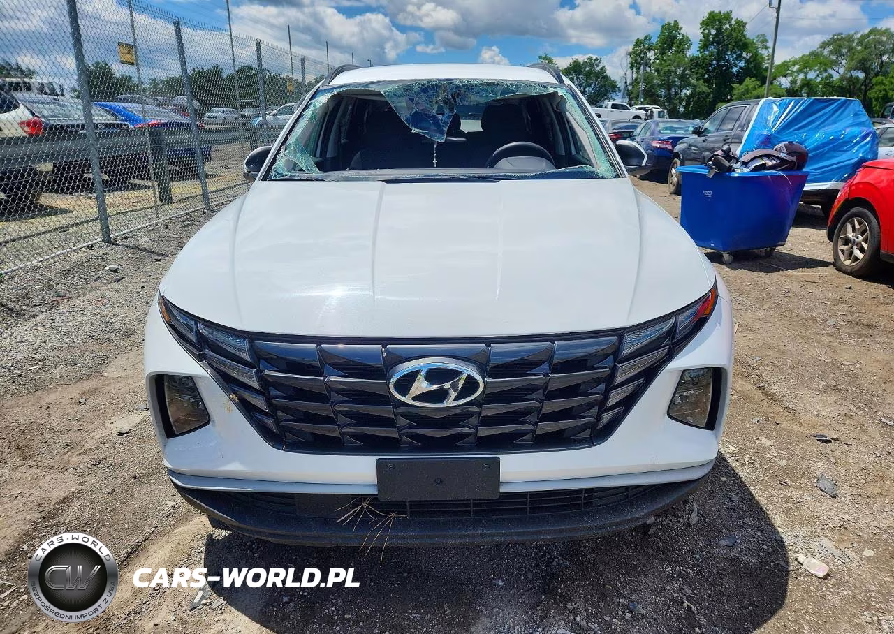 2024 Hyundai Tucson Sel VIN:5NMJBCDE3RH343002 - 5