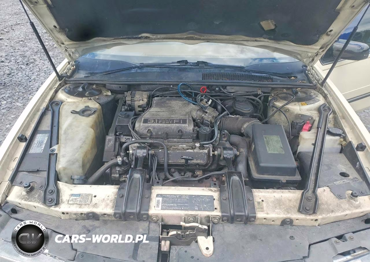 1991 Chevrolet Lumina VIN:2G1WL54T0M9114247 - 11