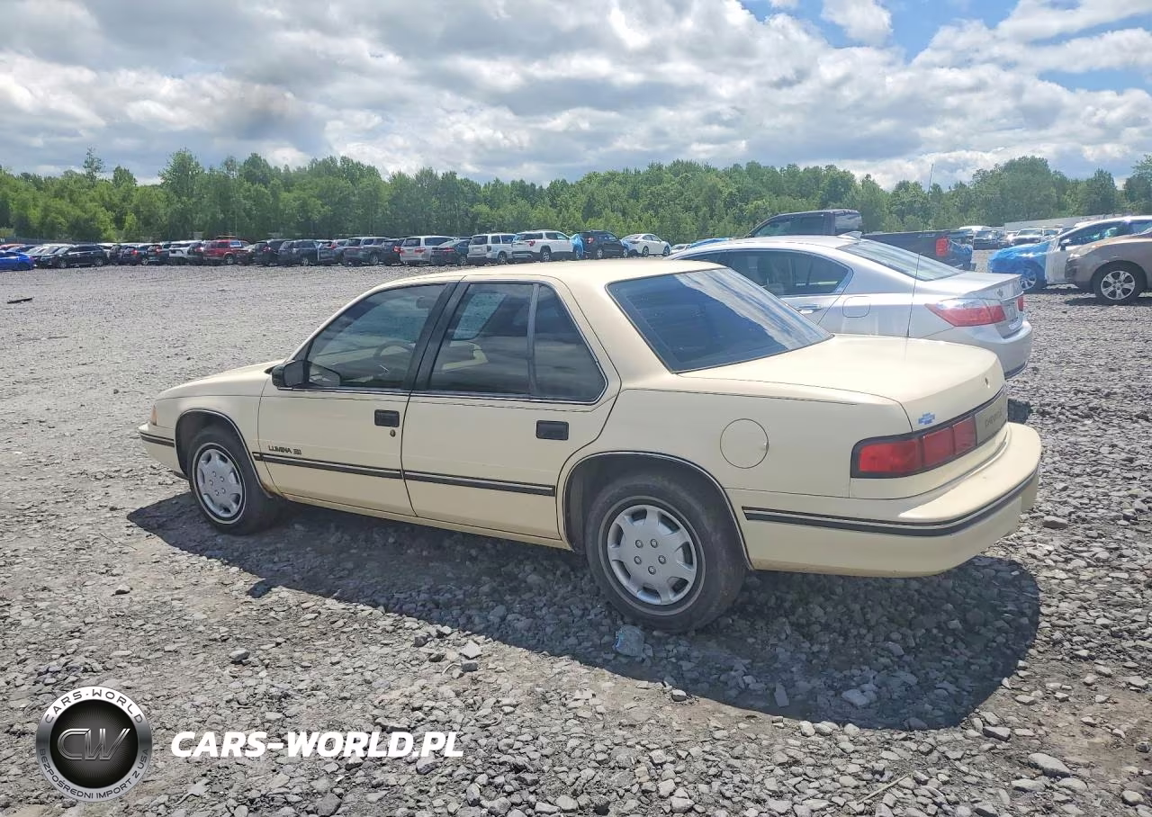 1991 Chevrolet Lumina VIN:2G1WL54T0M9114247 - 2