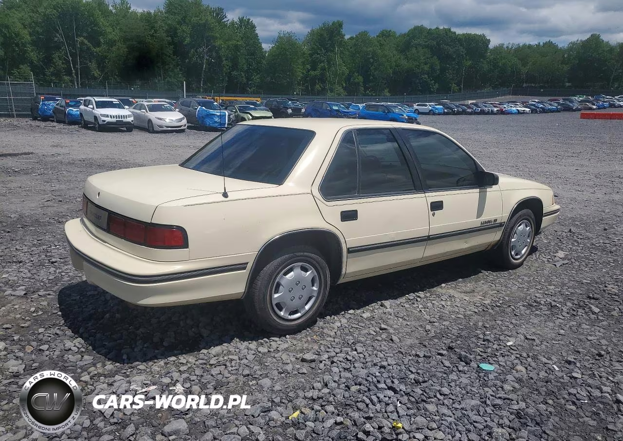1991 Chevrolet Lumina VIN:2G1WL54T0M9114247 - 3