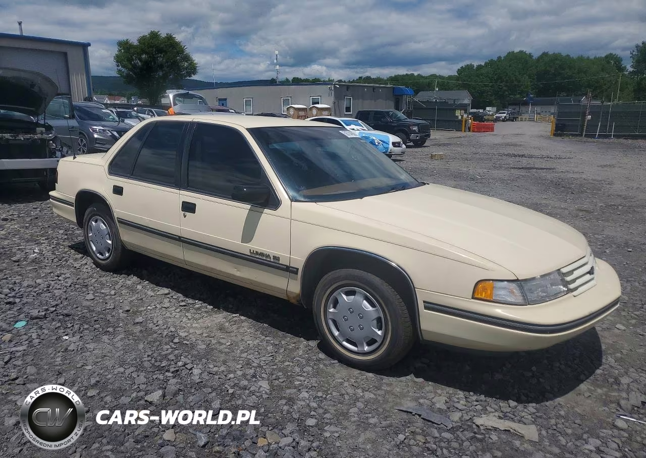 1991 Chevrolet Lumina VIN:2G1WL54T0M9114247 - 4