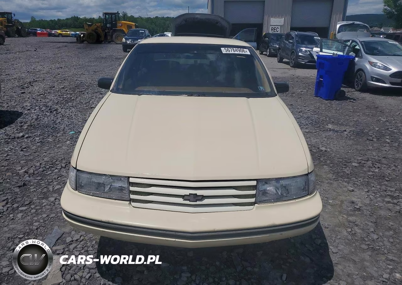 1991 Chevrolet Lumina VIN:2G1WL54T0M9114247 - 5