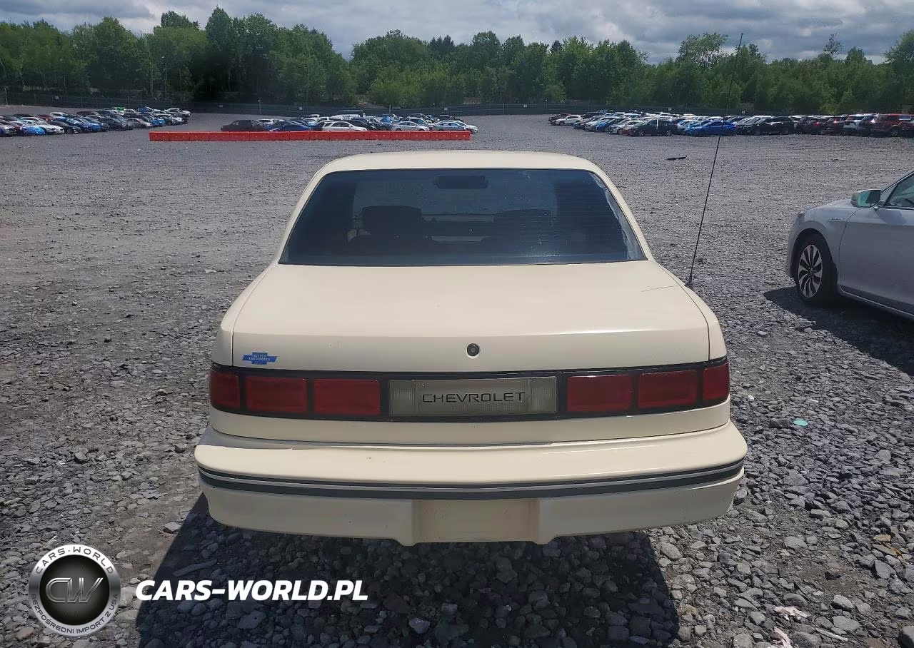 1991 Chevrolet Lumina VIN:2G1WL54T0M9114247 - 6