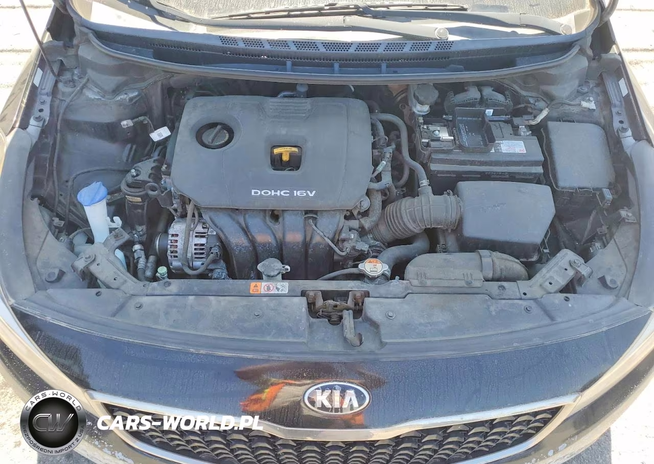2018 Kia Forte Lx VIN:3KPFL4A7XJE199345 - 11
