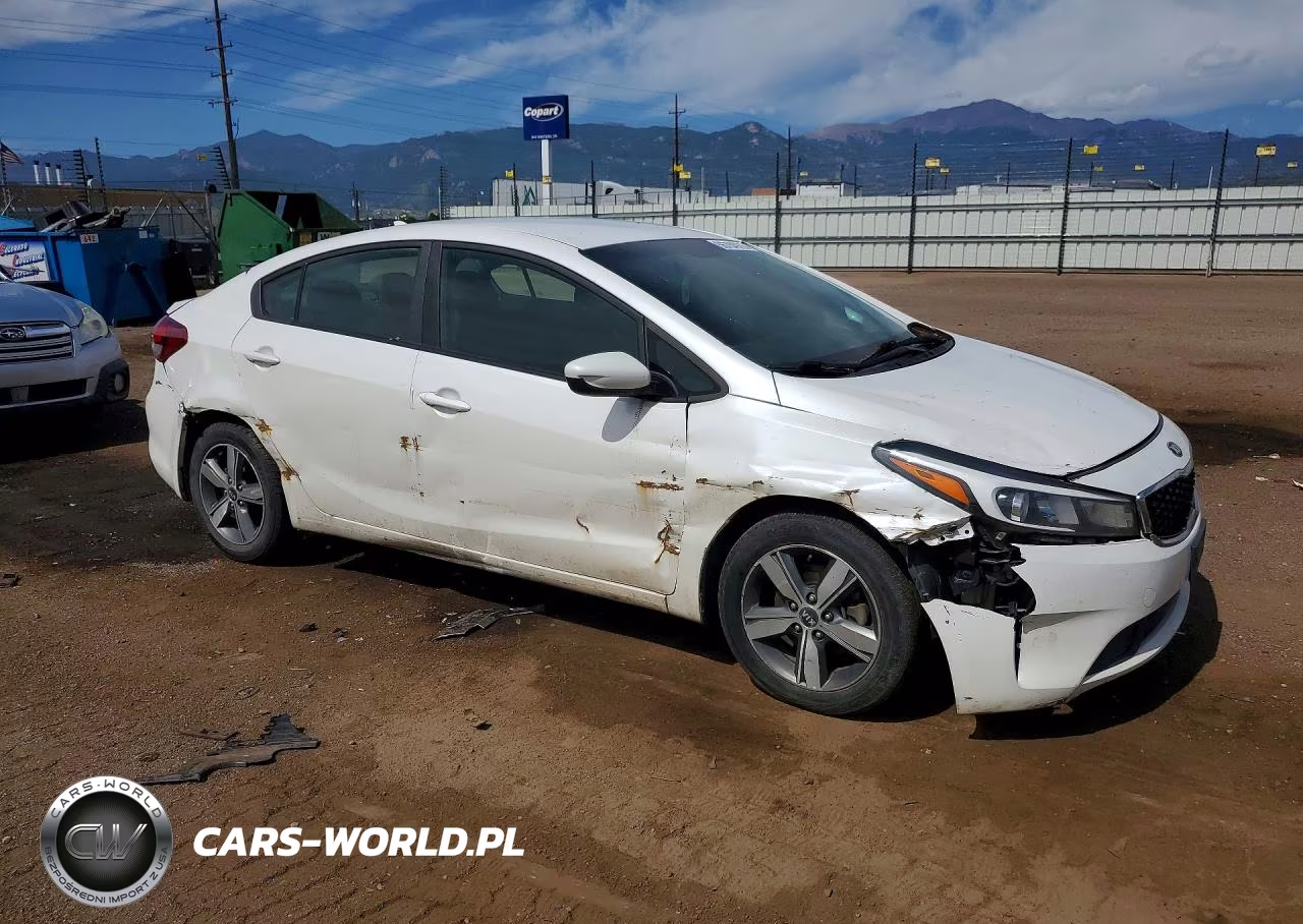 2018 Kia Forte Lx VIN:3KPFL4A75JE166513 - 4