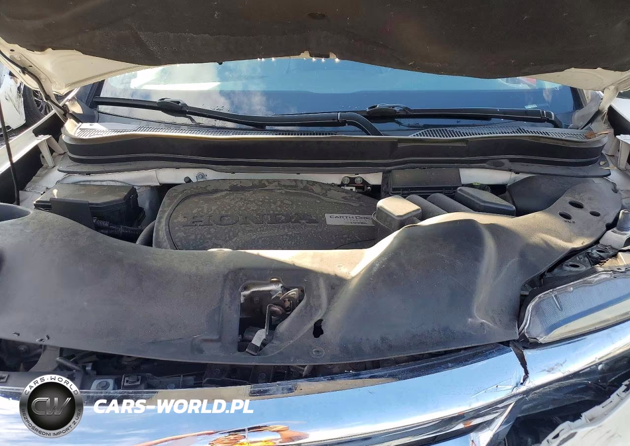 2019 Honda Pilot Exl VIN:5FNYF5H52KB033889 - 12