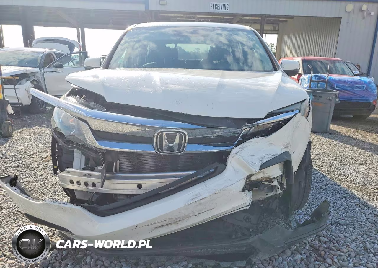 2019 Honda Pilot Exl VIN:5FNYF5H52KB033889 - 5