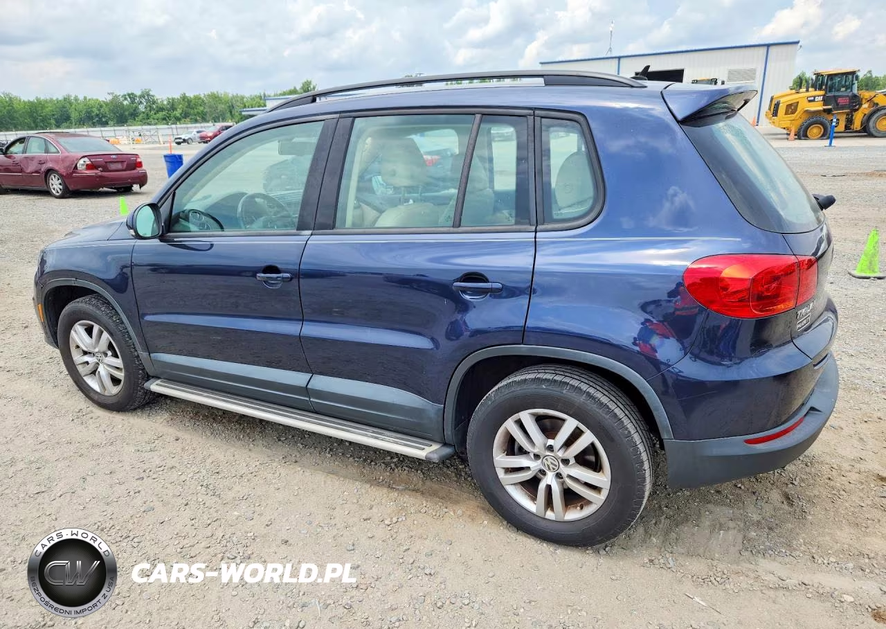 2016 Volkswagen Tiguan S VIN:WVGAV7AX3GW600699 - 2