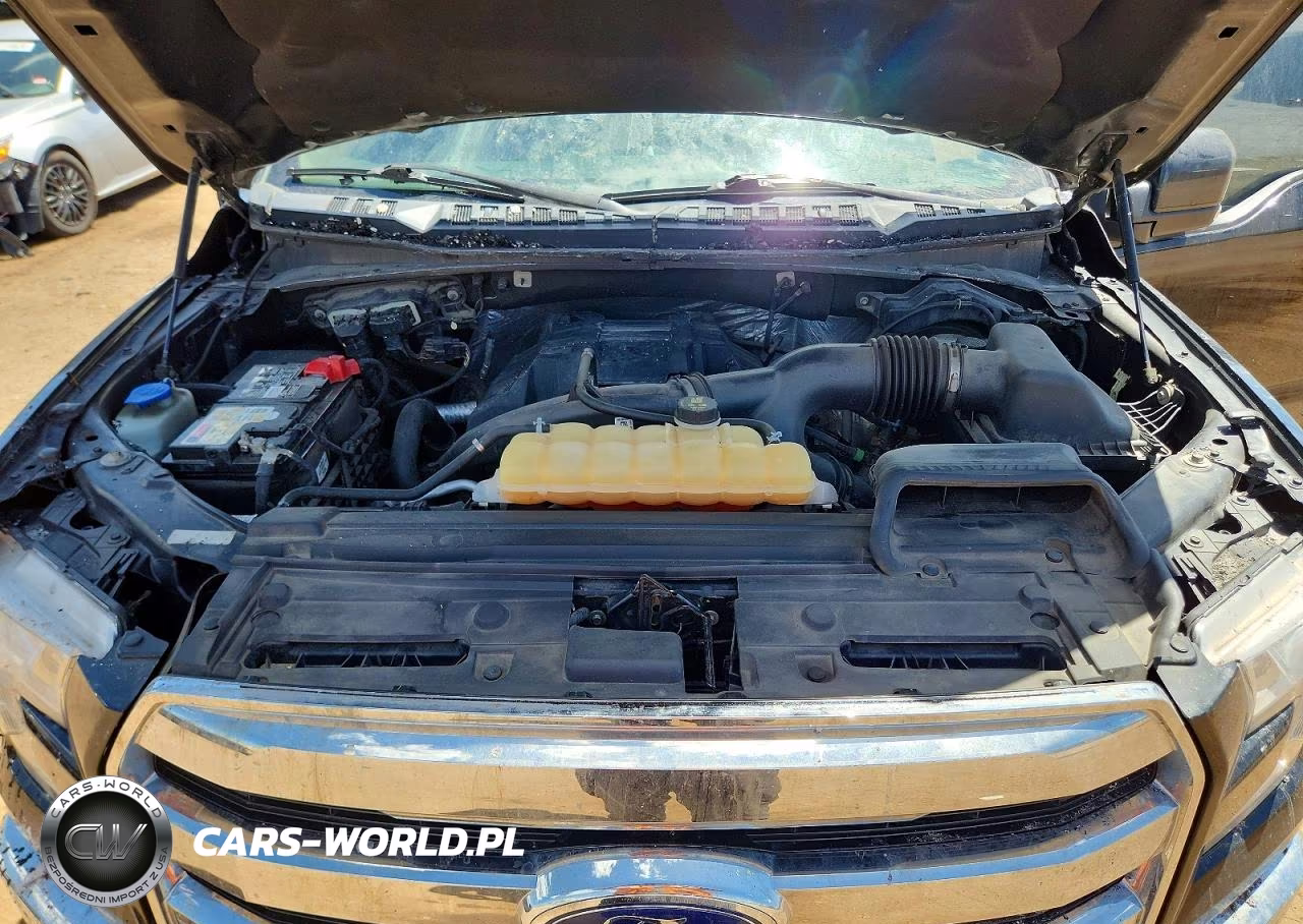 2016 Ford F150 Supercrew VIN:1FTEW1EP5GKE31335 - 11