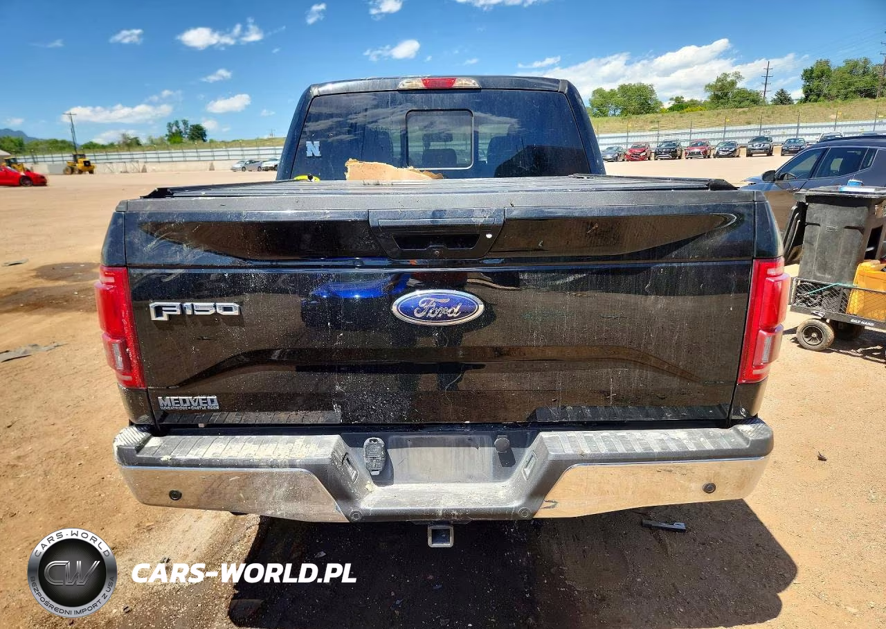 2016 Ford F150 Supercrew VIN:1FTEW1EP5GKE31335 - 6