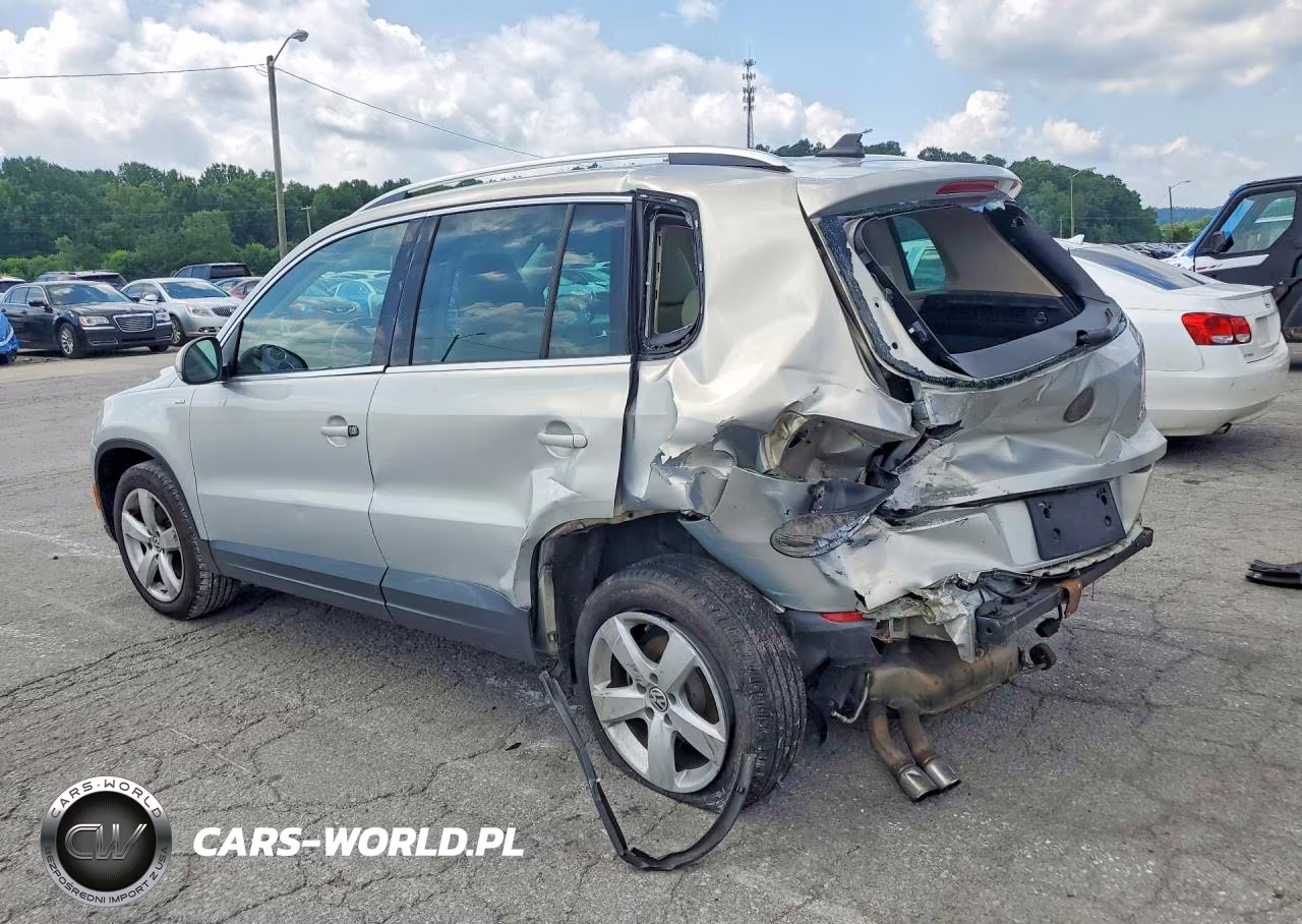 2010 Volkswagen Tiguan VIN:WVGBV7AX9AW536261 - 2