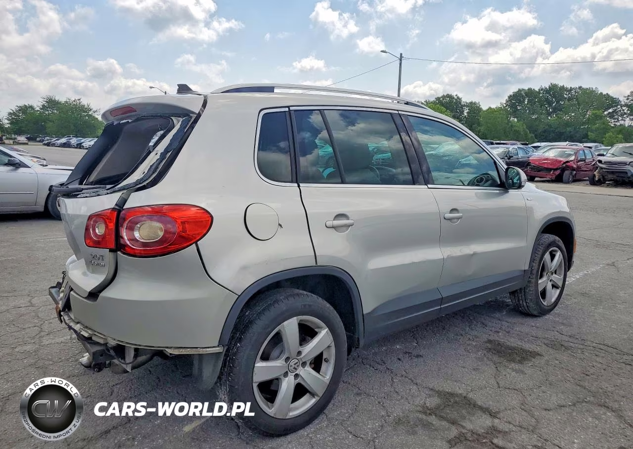 2010 Volkswagen Tiguan VIN:WVGBV7AX9AW536261 - 3