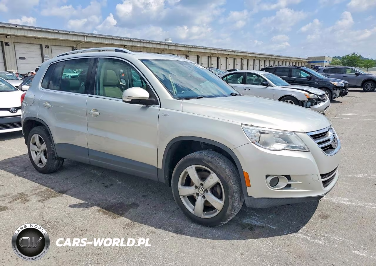 2010 Volkswagen Tiguan VIN:WVGBV7AX9AW536261 - 4