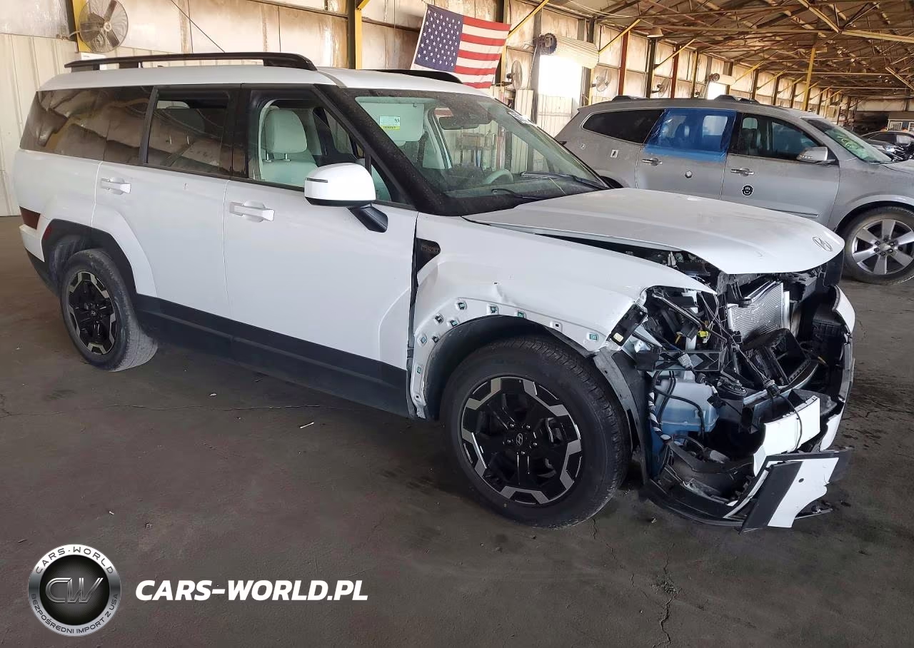 2025 Hyundai Santa Fe VIN:5NMP2DGL8SH130465 - 4