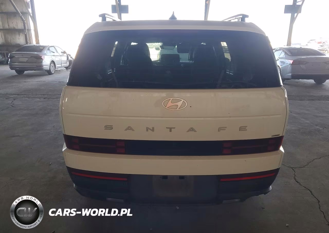 2025 Hyundai Santa Fe VIN:5NMP2DGL8SH130465 - 6