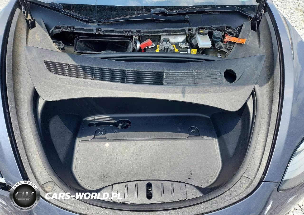 2019 Tesla Model 3 VIN:5YJ3E1EB9KF520779 - 11