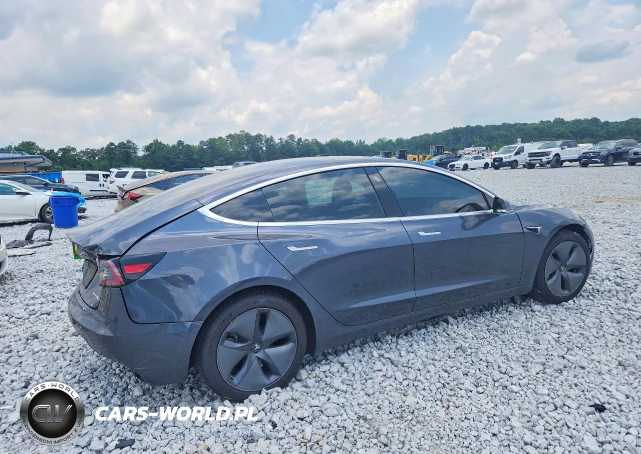 2019 Tesla Model 3 VIN:5YJ3E1EB9KF520779 - 3