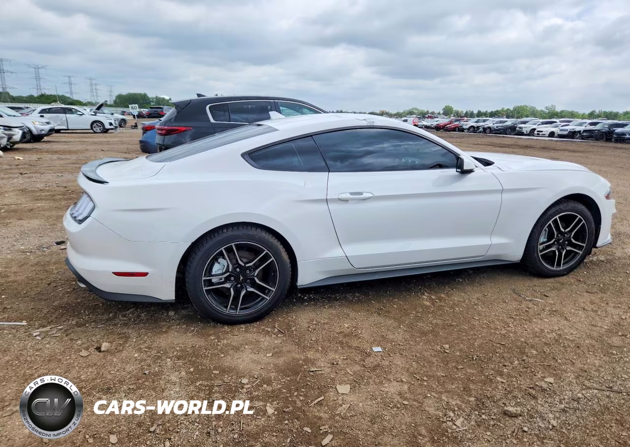 2020 Ford Mustang VIN:1FA6P8TH0L5140262 - 3
