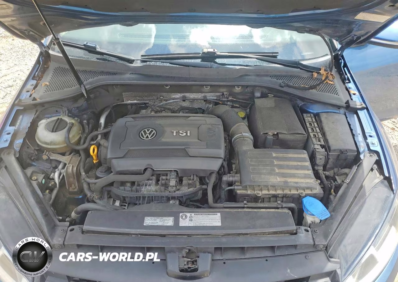 2016 Volkswagen Golf Sportwagen S VIN:3VWA17AU8GM509463 - 11