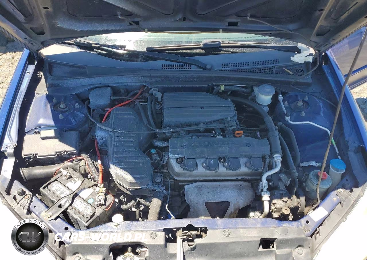 2005 Honda Civic Lx VIN:2HGES16595H554246 - 11