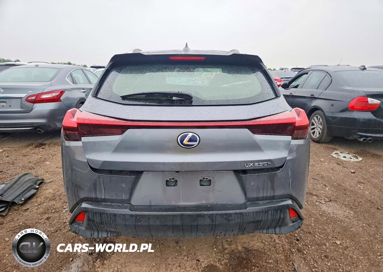 2019 Lexus Ux 250H VIN:JTHU9JBH4K2017521 - 6