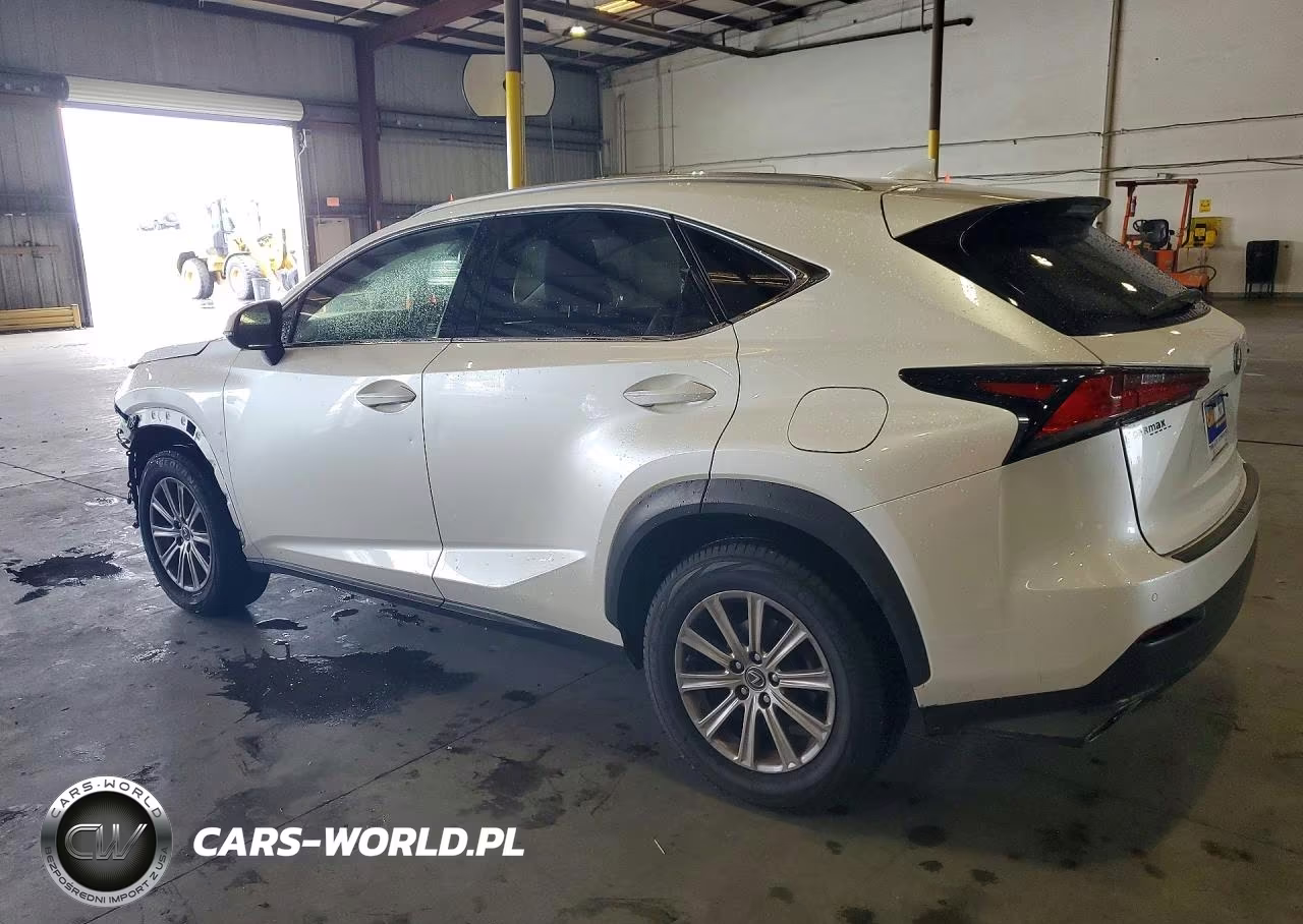 2019 Lexus Nx 300 Base VIN:JTJYARBZ4K2129721 - 2