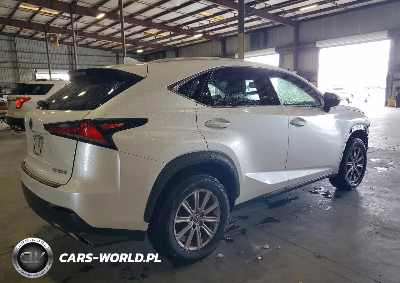 2019 Lexus Nx 300 Base VIN:JTJYARBZ4K2129721 - 3
