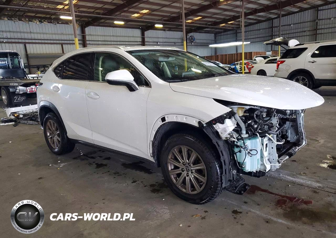 2019 Lexus Nx 300 Base VIN:JTJYARBZ4K2129721 - 4