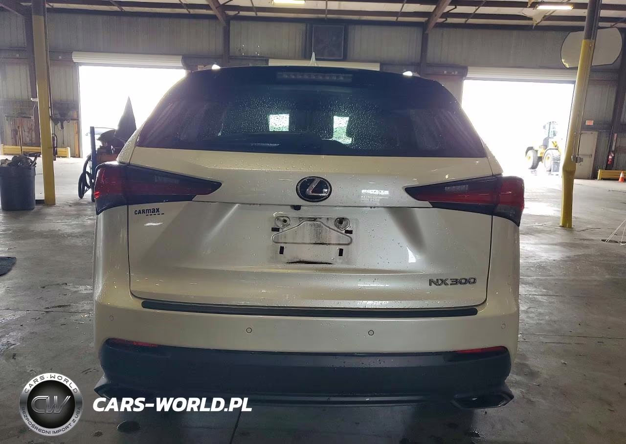 2019 Lexus Nx 300 Base VIN:JTJYARBZ4K2129721 - 6