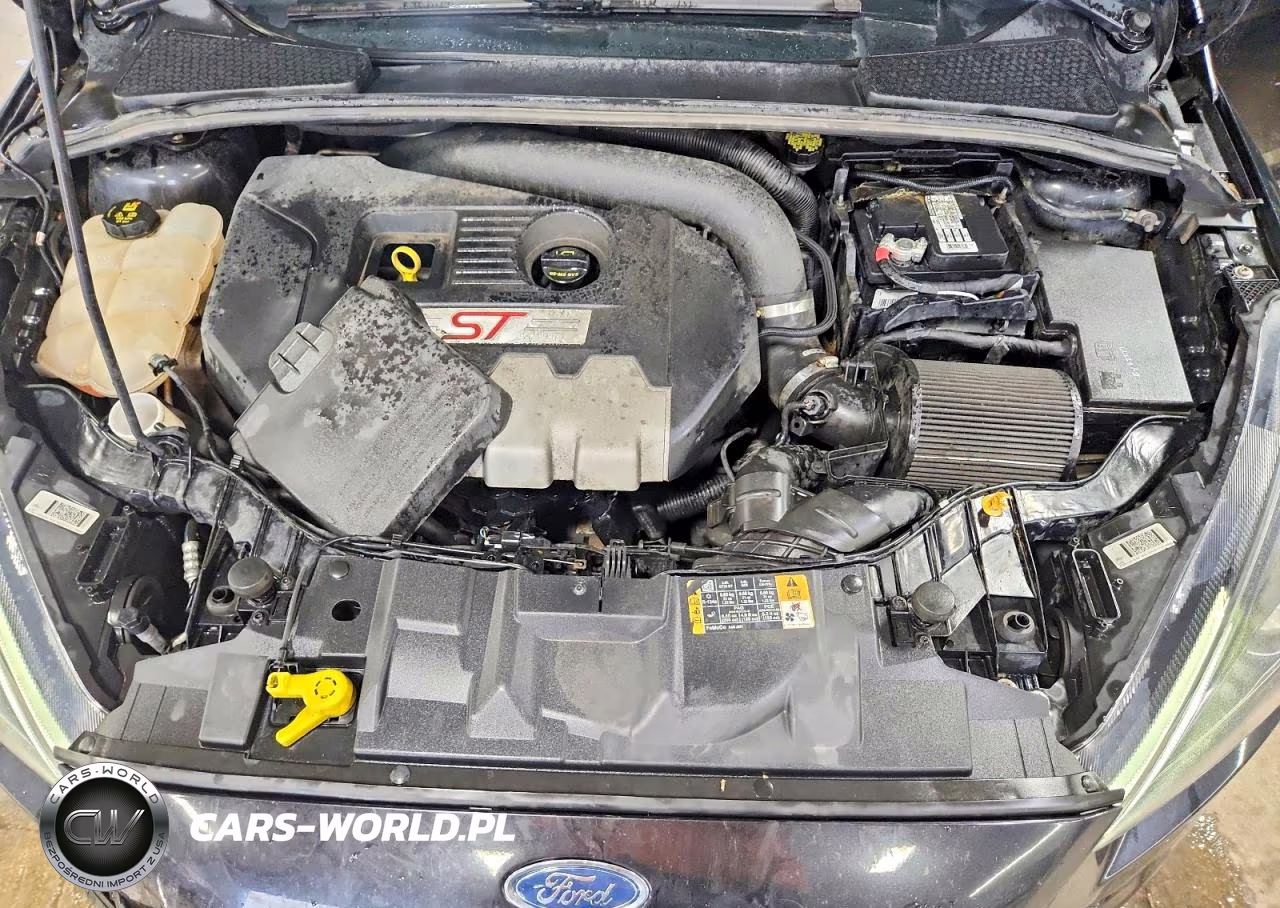 2015 Ford Focus St VIN:1FADP3L9XFL346269 - 11