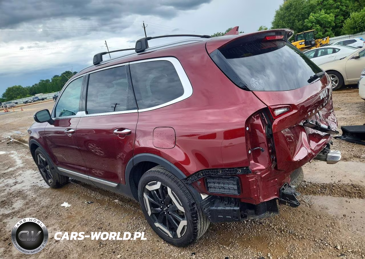 2024 Kia Telluride S VIN:5XYP6DGC9RG463492 - 2