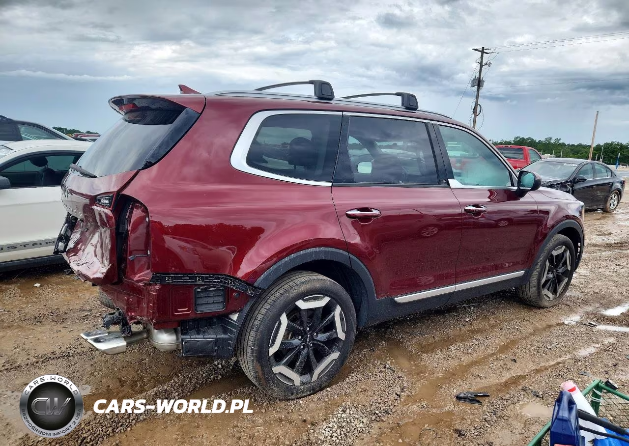 2024 Kia Telluride S VIN:5XYP6DGC9RG463492 - 3