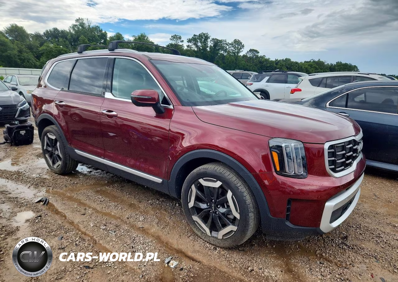 2024 Kia Telluride S VIN:5XYP6DGC9RG463492 - 4